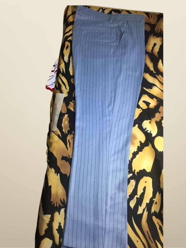 Blue pant